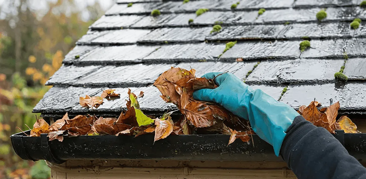 Gutter cleaning technician clearing wet leaves from roof gutters in Kansas City, MO
